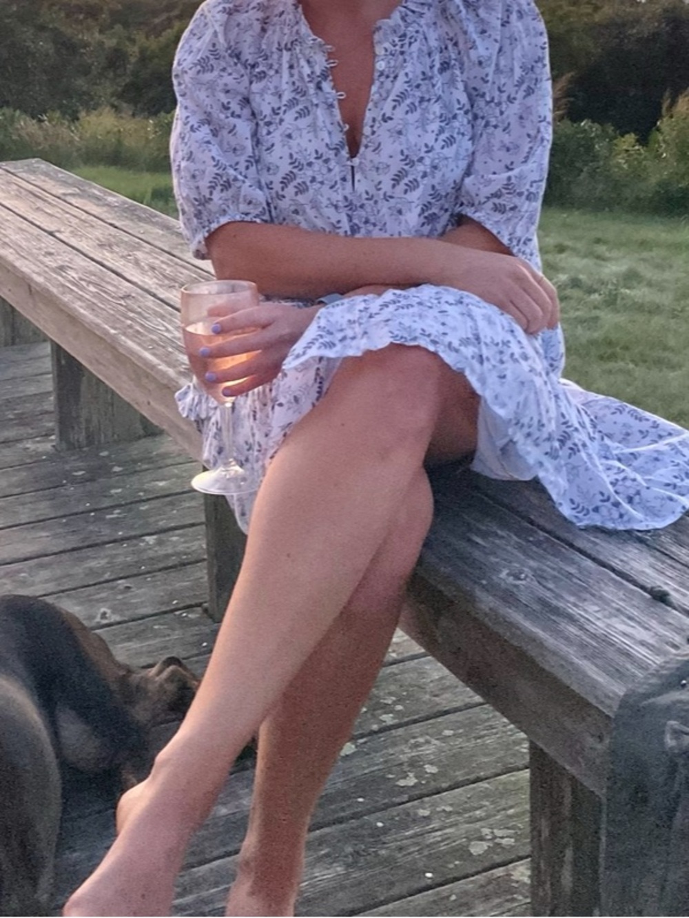 Cleobella Blue White Floral Mini Dress
